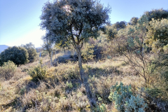 IMG20220123105106