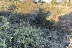 IMG20220123105138