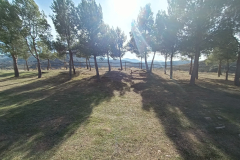 IMG20230107130655